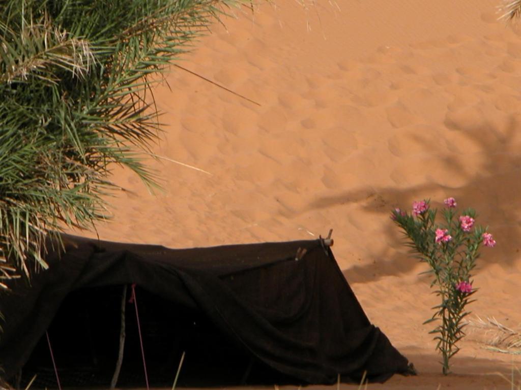 Auberge Africa Merzouga Kamer foto