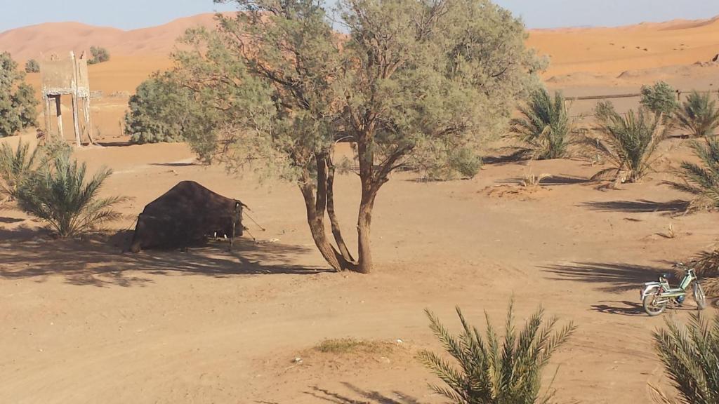 Auberge Africa Merzouga Buitenkant foto