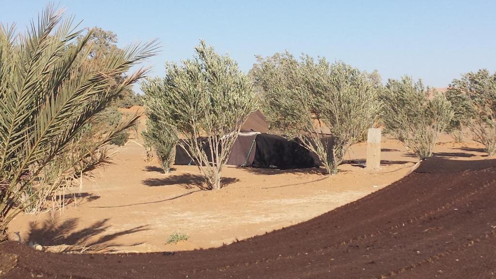 Auberge Africa Merzouga Kamer foto