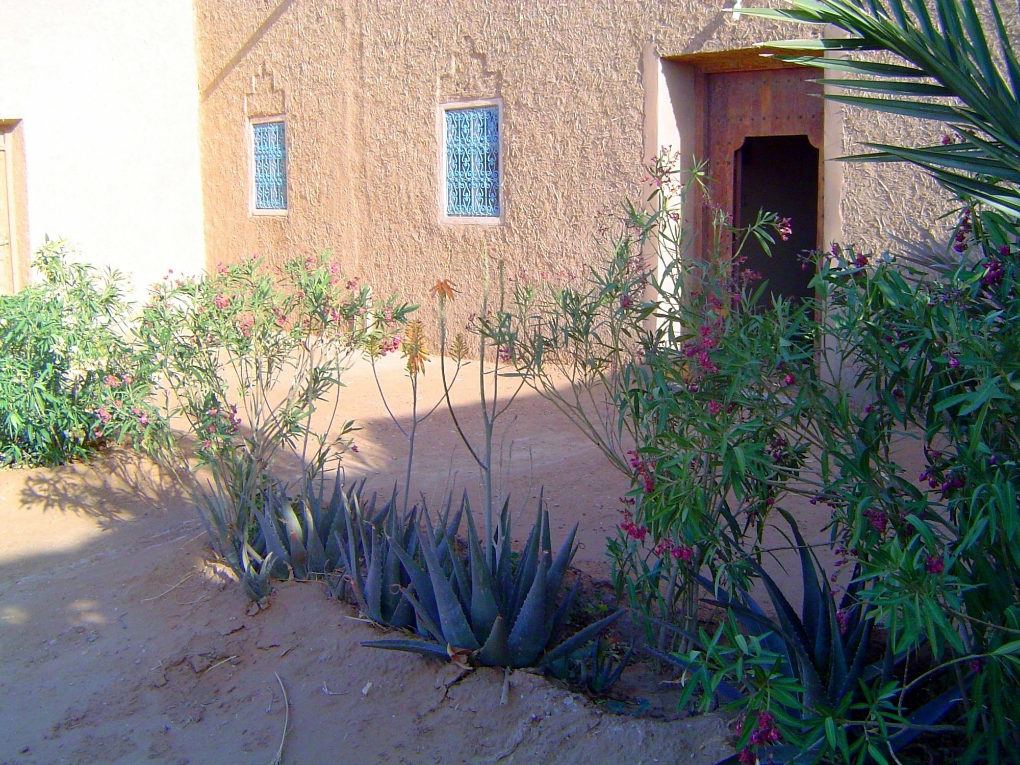Auberge Africa Merzouga Buitenkant foto